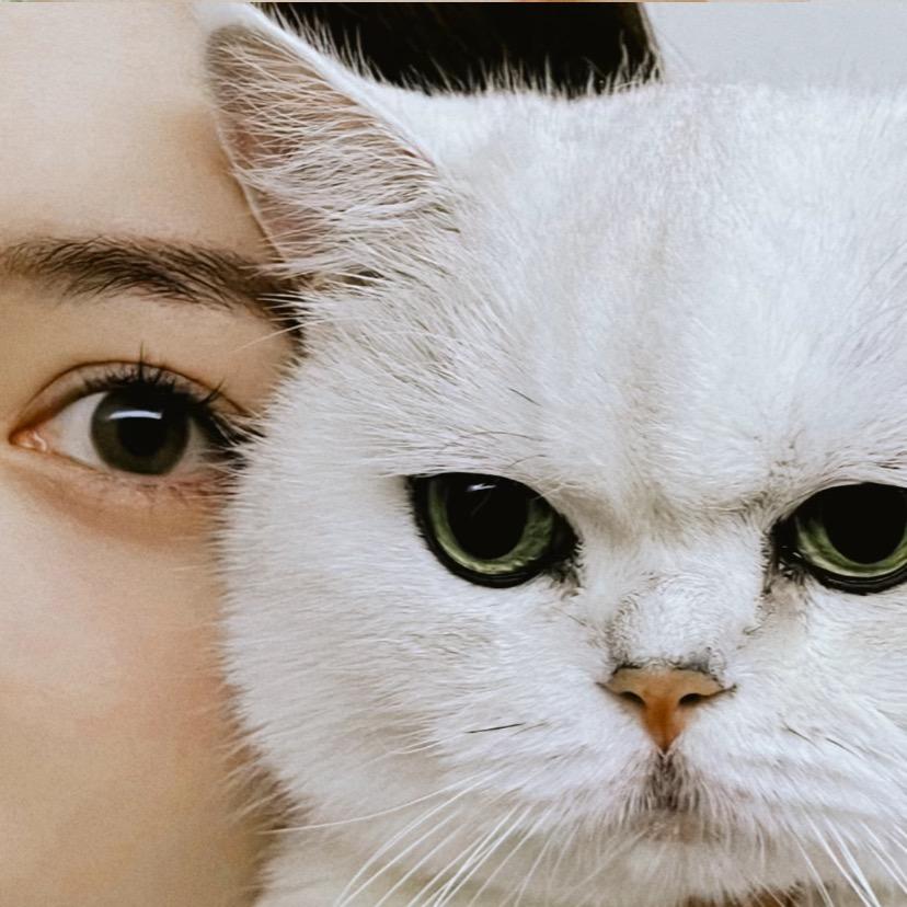 ：小小娇·
