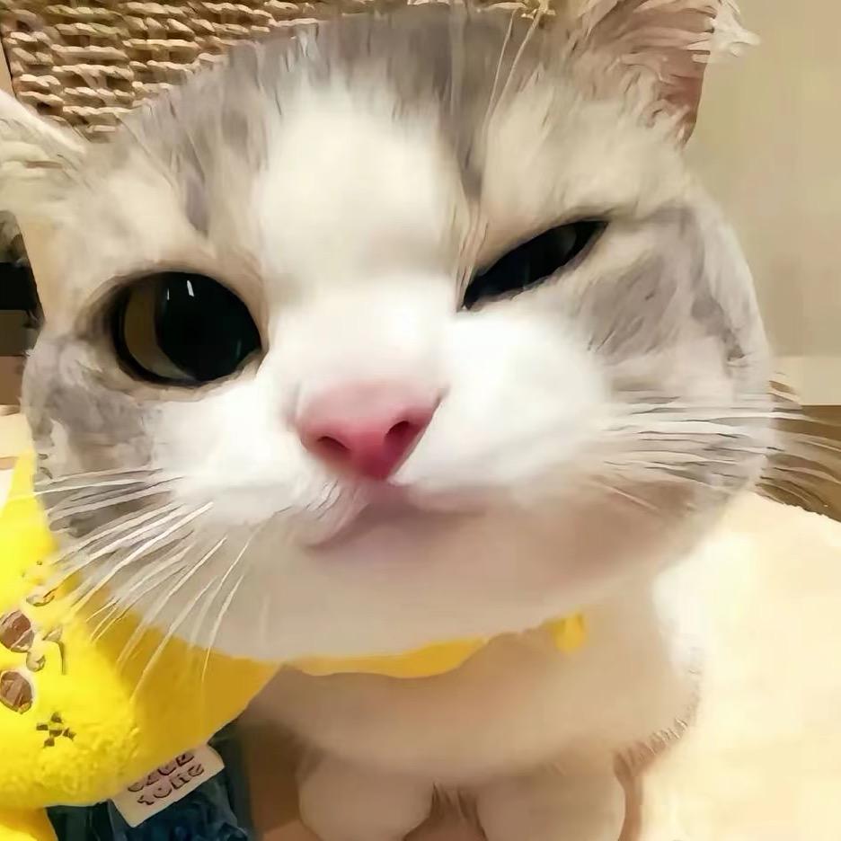小妮子