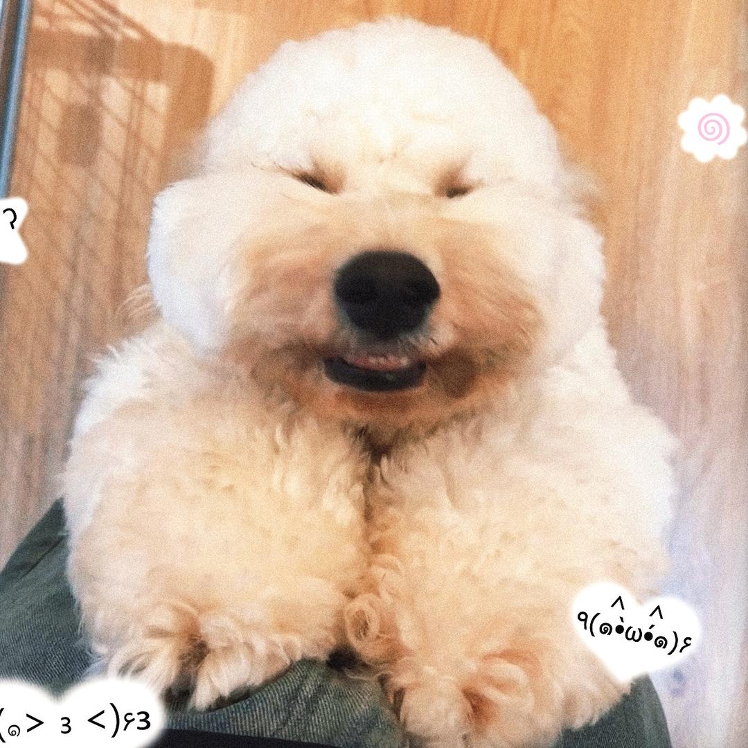 日落飞行