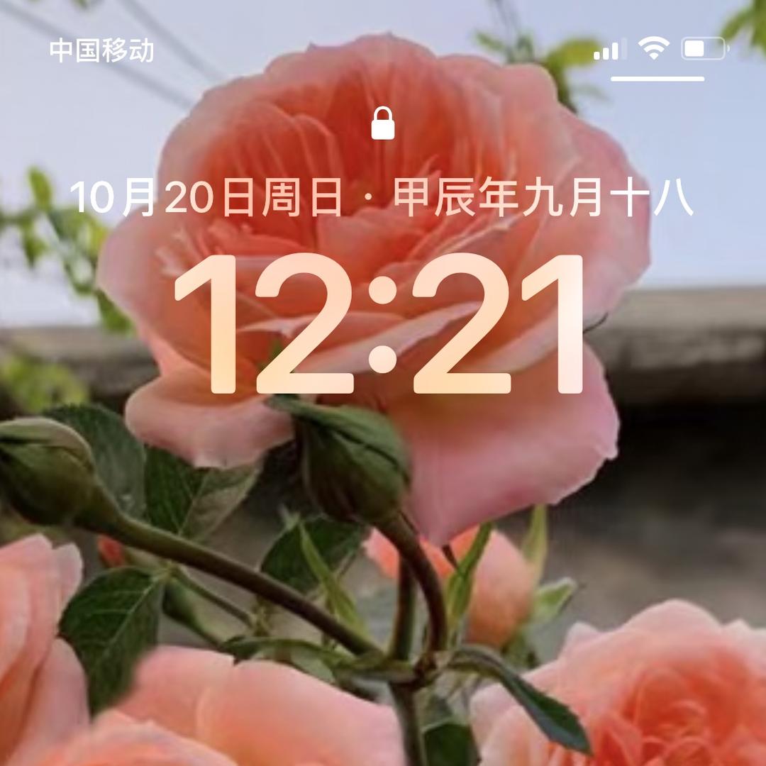 85650315690