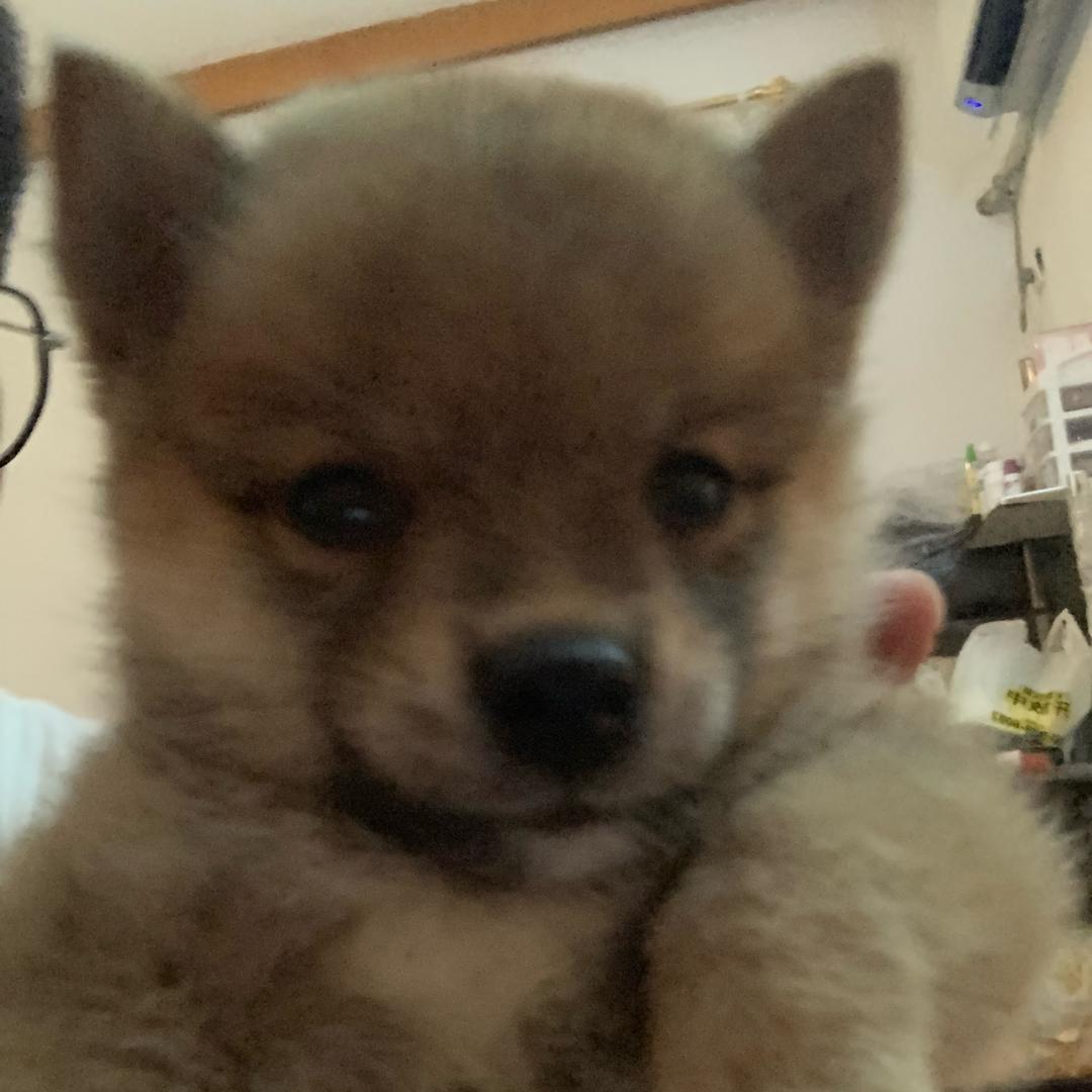 麻烦你做个善人