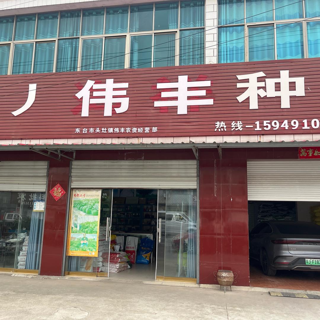 曹丿伟丰种业