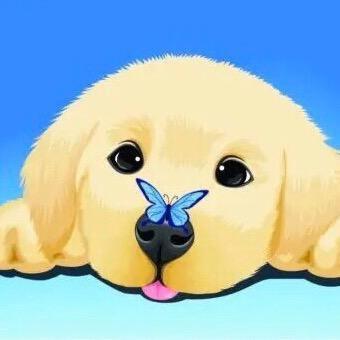 枫舞