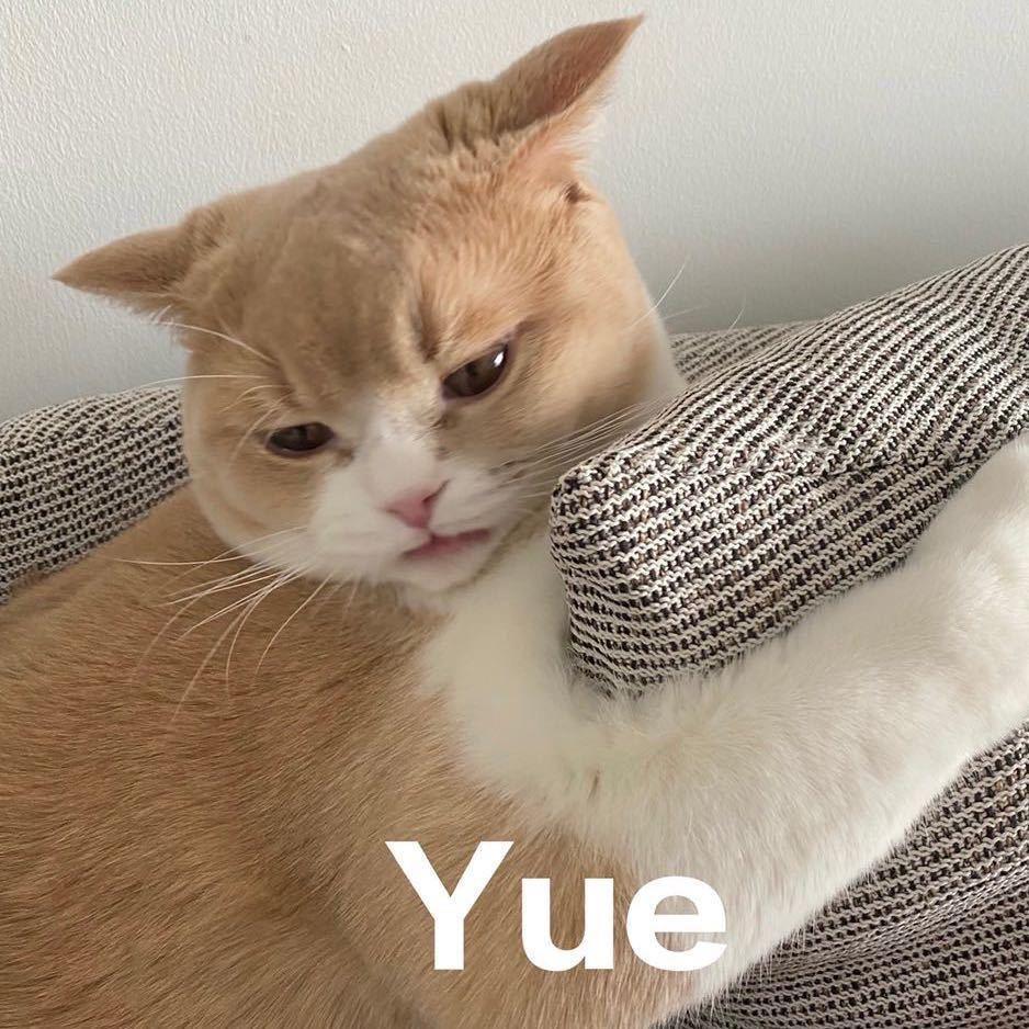 你为什么一点都不怕我