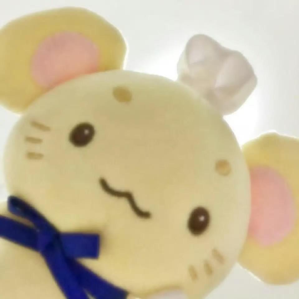 想你时风起