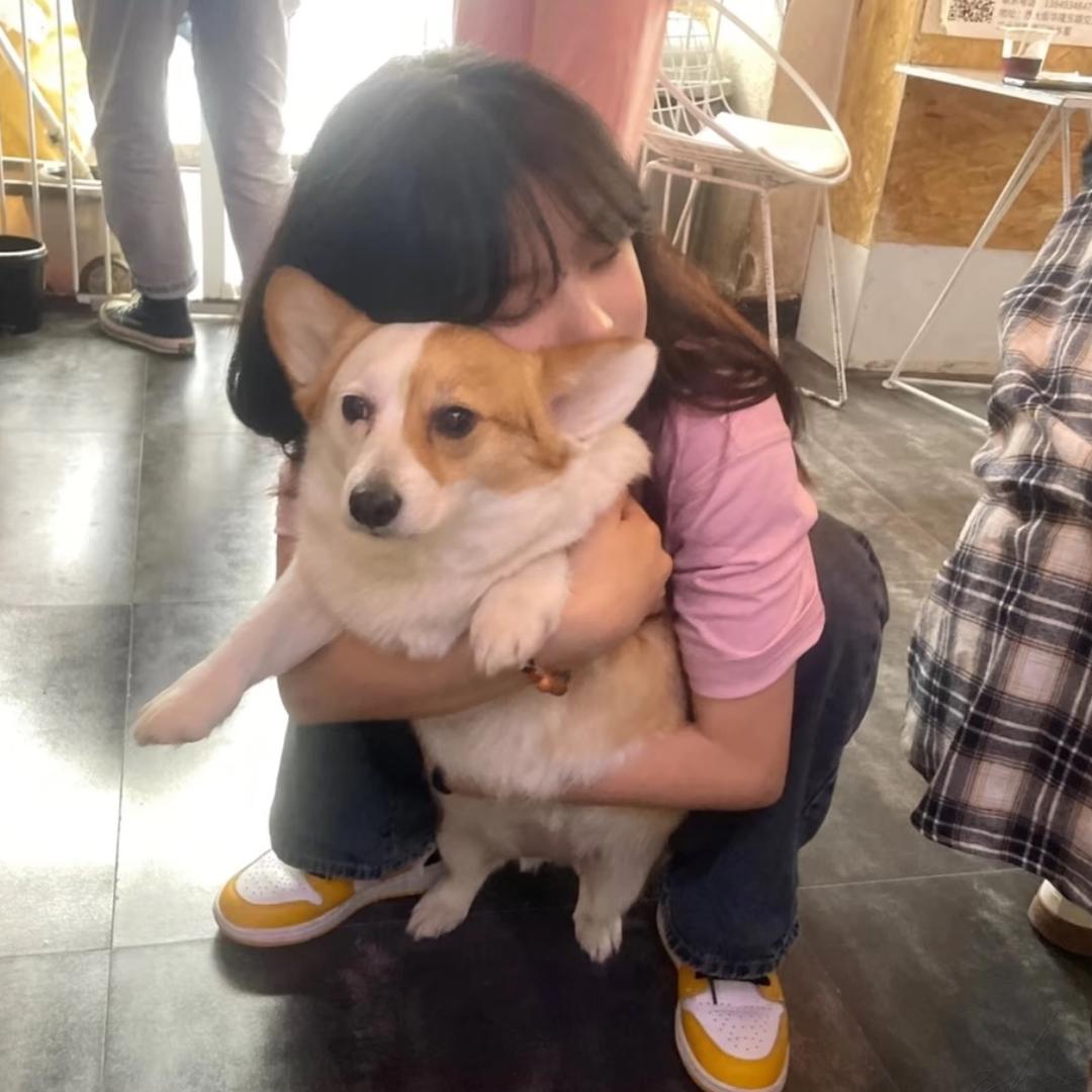 当务之急是睡觉