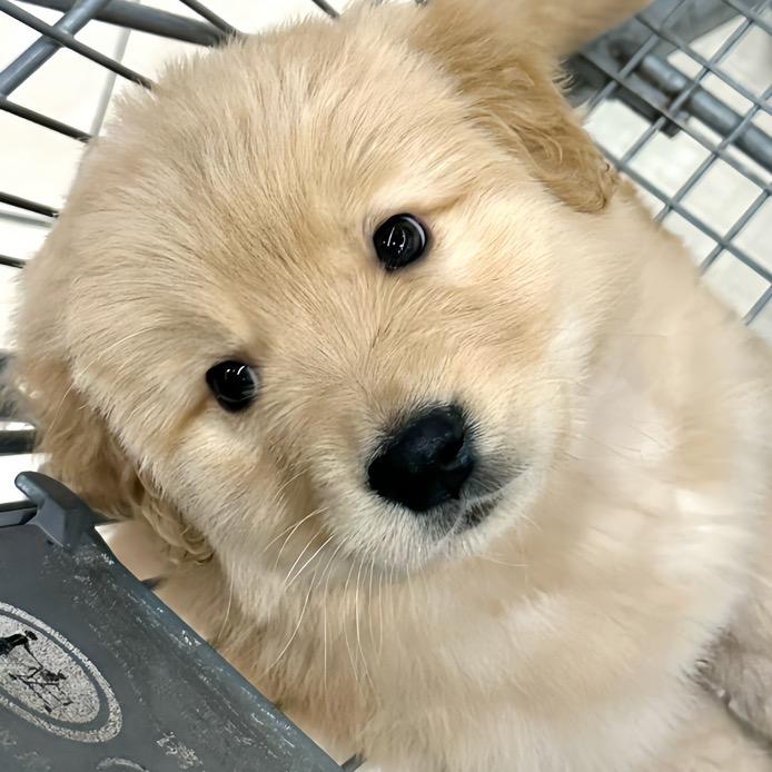 吨吨吨来咯