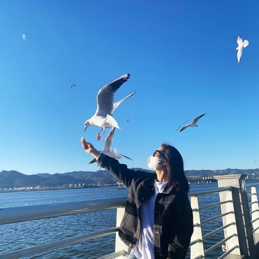 小鹇不闲