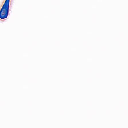 峒