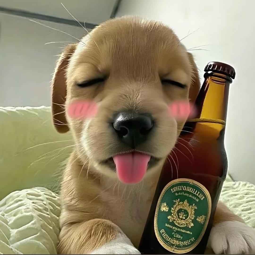 我是二班人