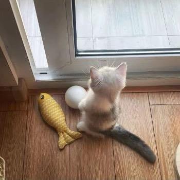 ￴￴ ￴ ￴ ￴老下雨