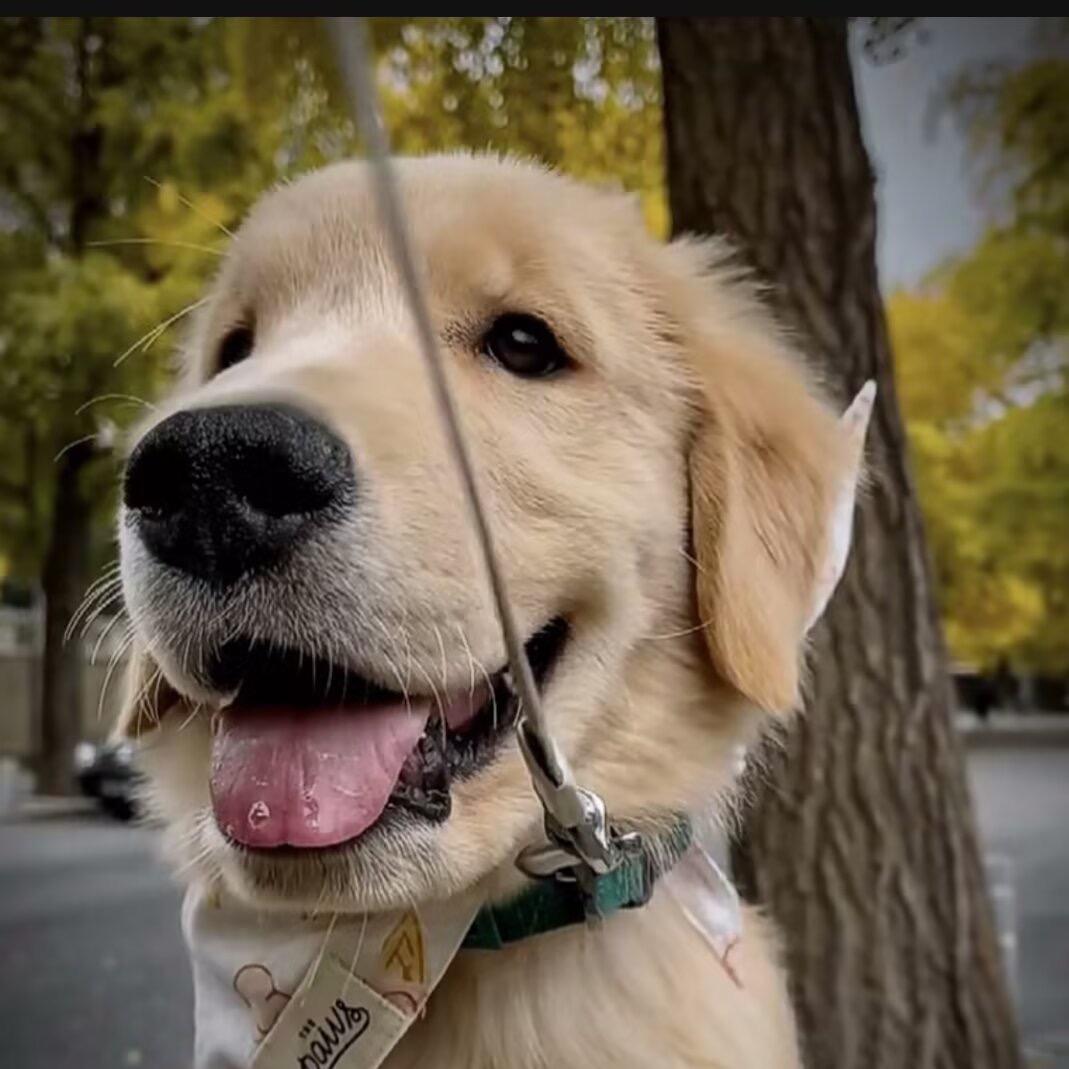 自律小韩（佛系跑者）