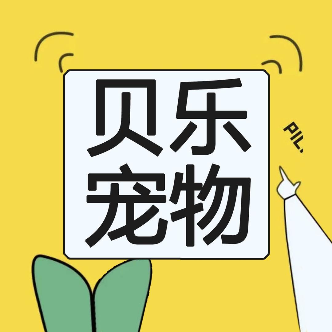 贝洛宠物