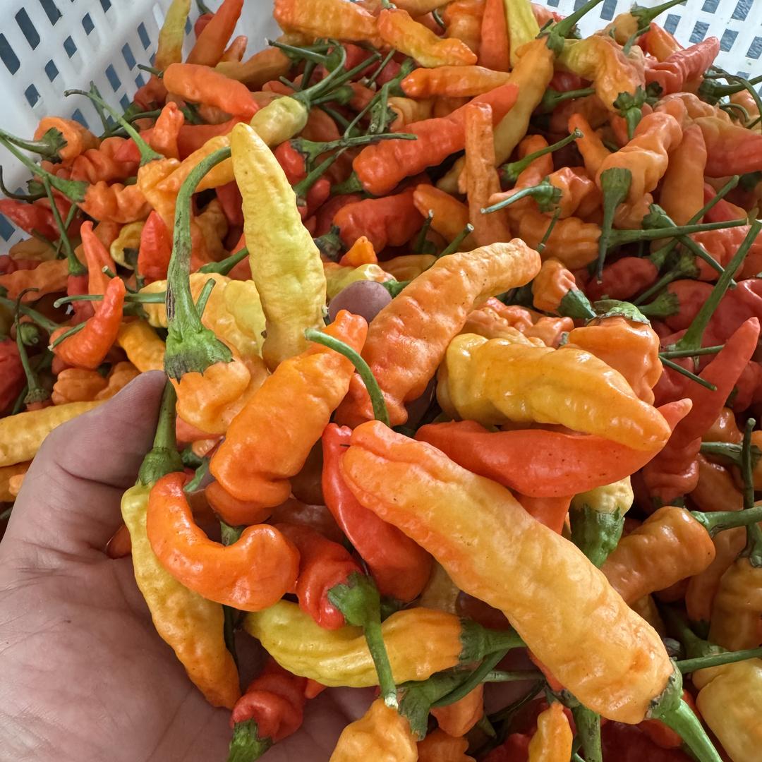 李记赣南特产