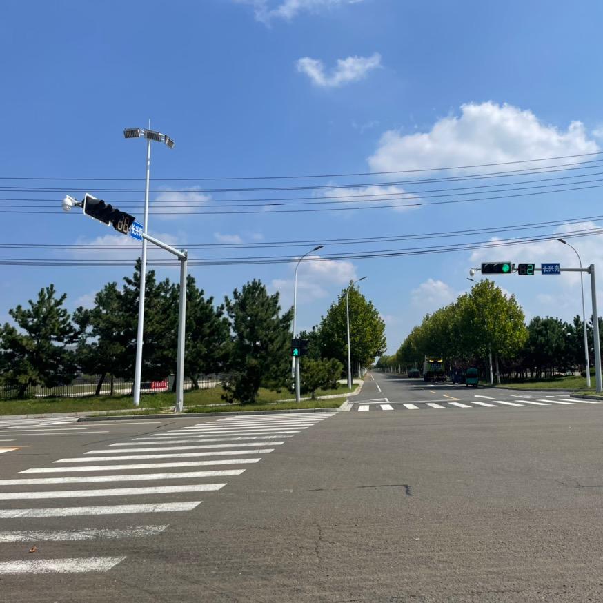 老毕讲山东专科升学