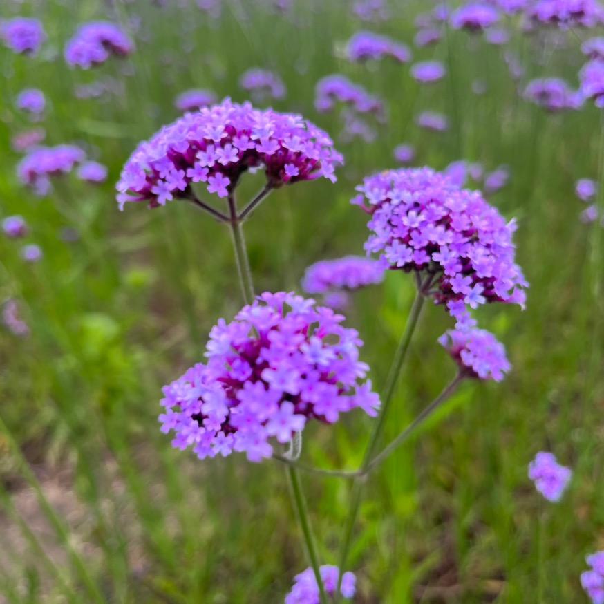 涵宝爸💐
