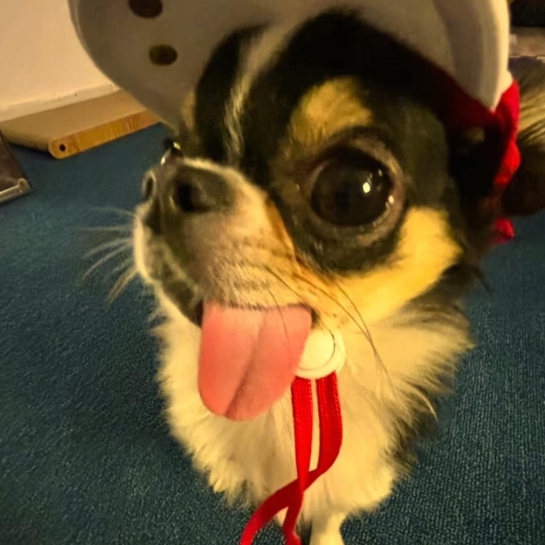 小小予