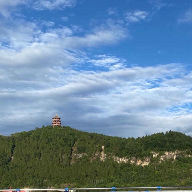 西门草