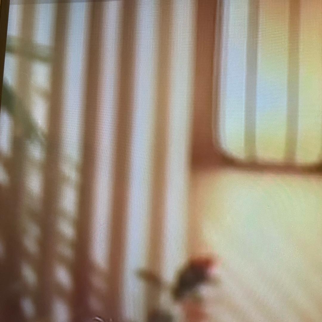 巧言