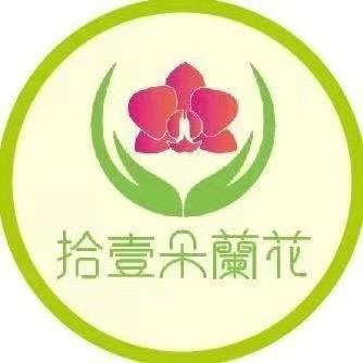 漳州十一朵兰花