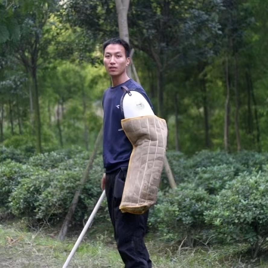 升级版灰太狼
