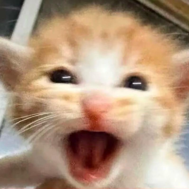 纯情尖叫鸡安琪