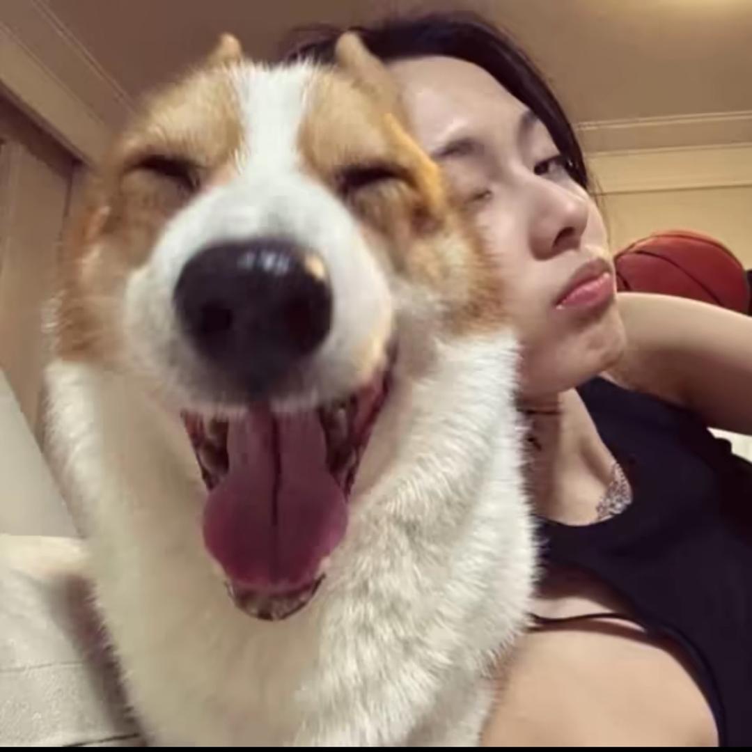 混口饭吃