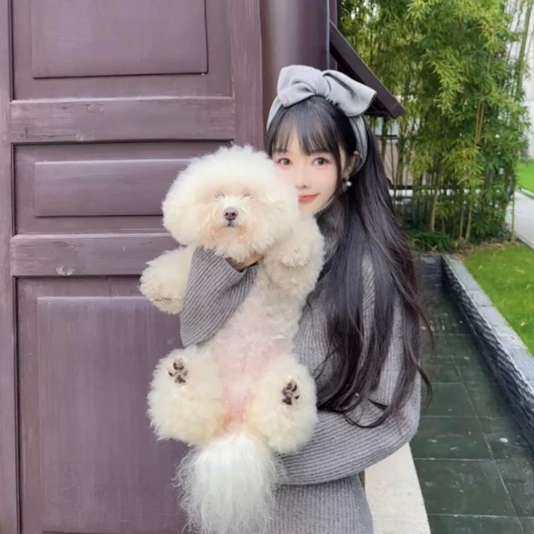雏菊🌼
