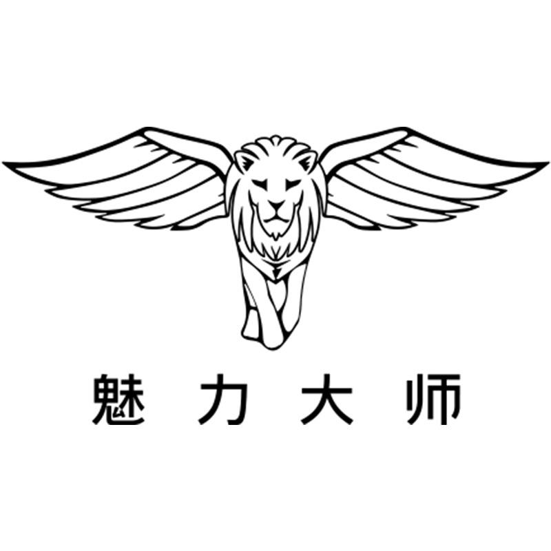 魅力大师官方旗舰店