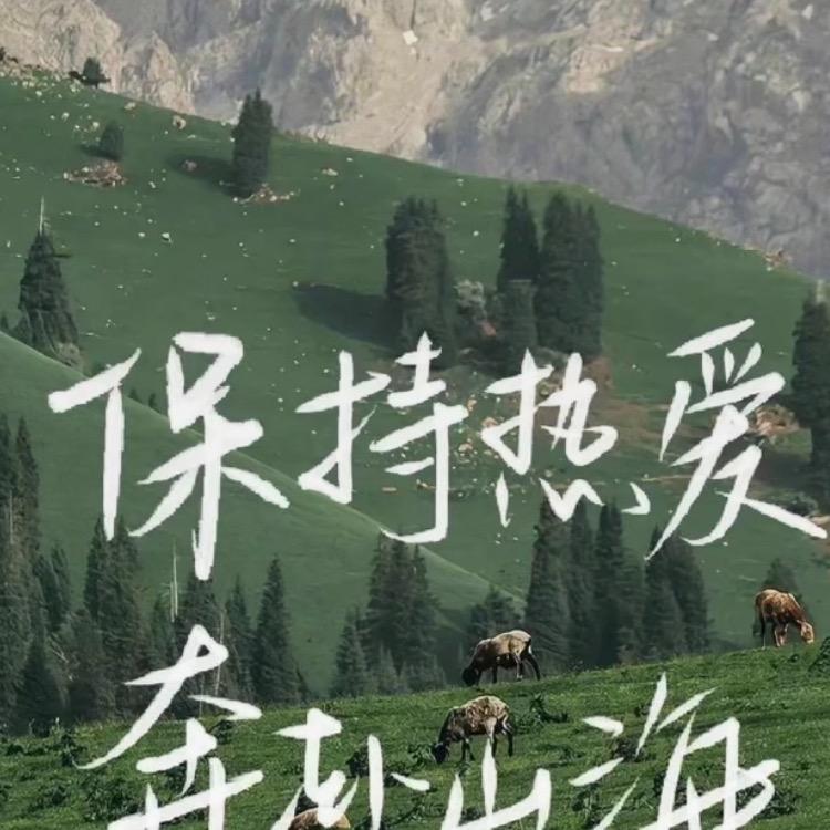 魔芋面