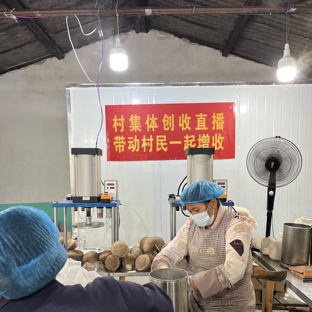 龙陵茶叶助农推荐