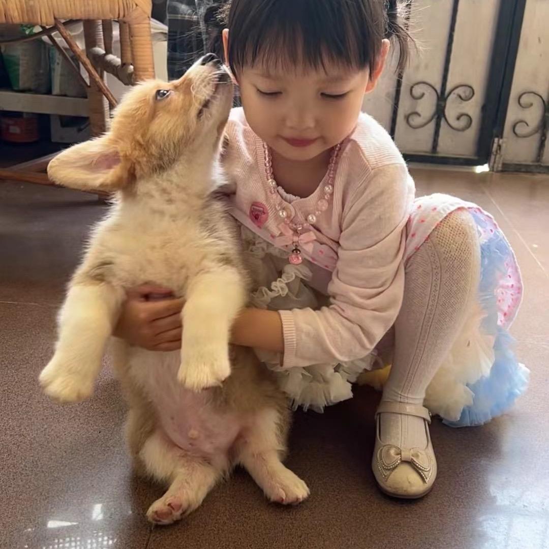 小腊珍成长记