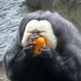 不疼