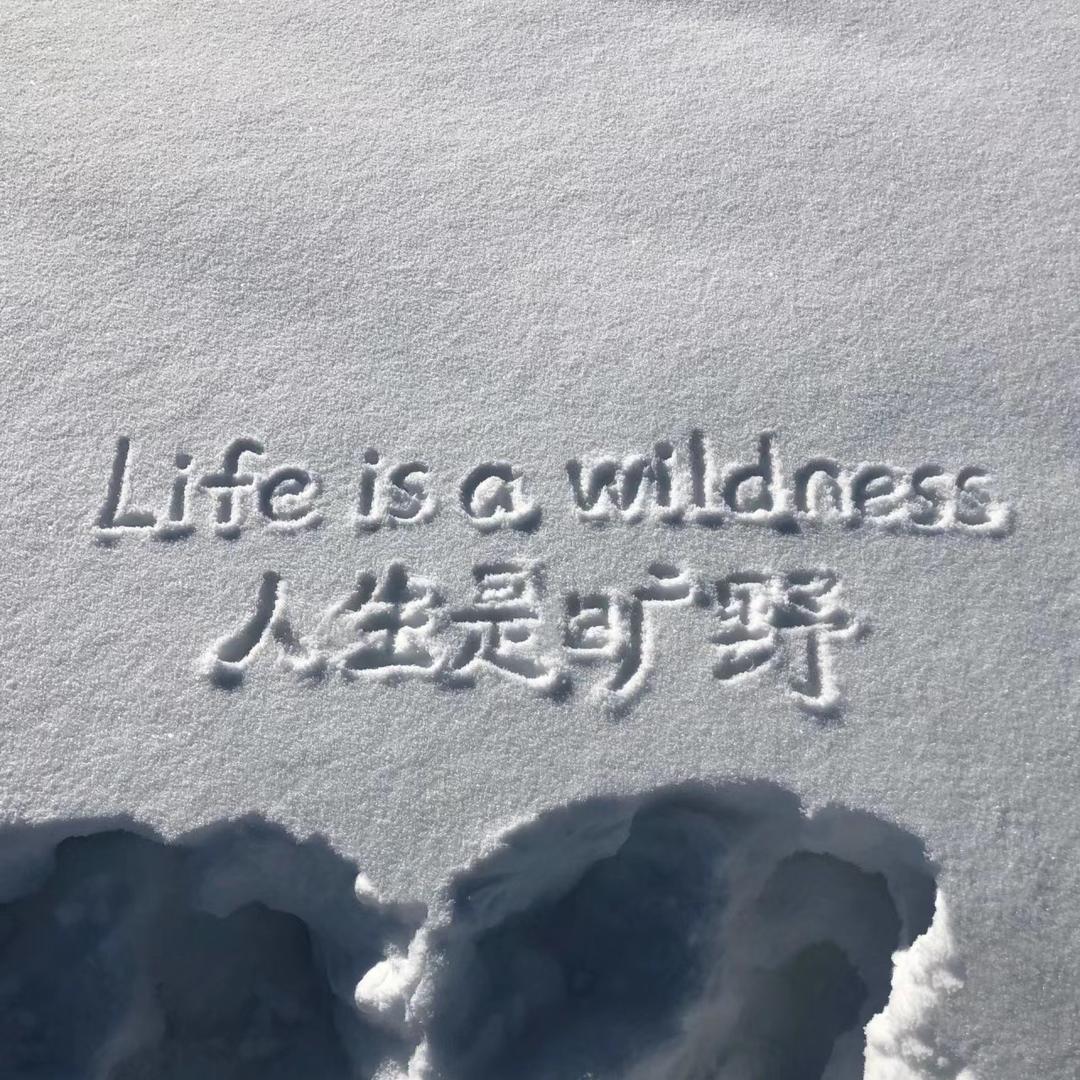 哈喽！尔滨