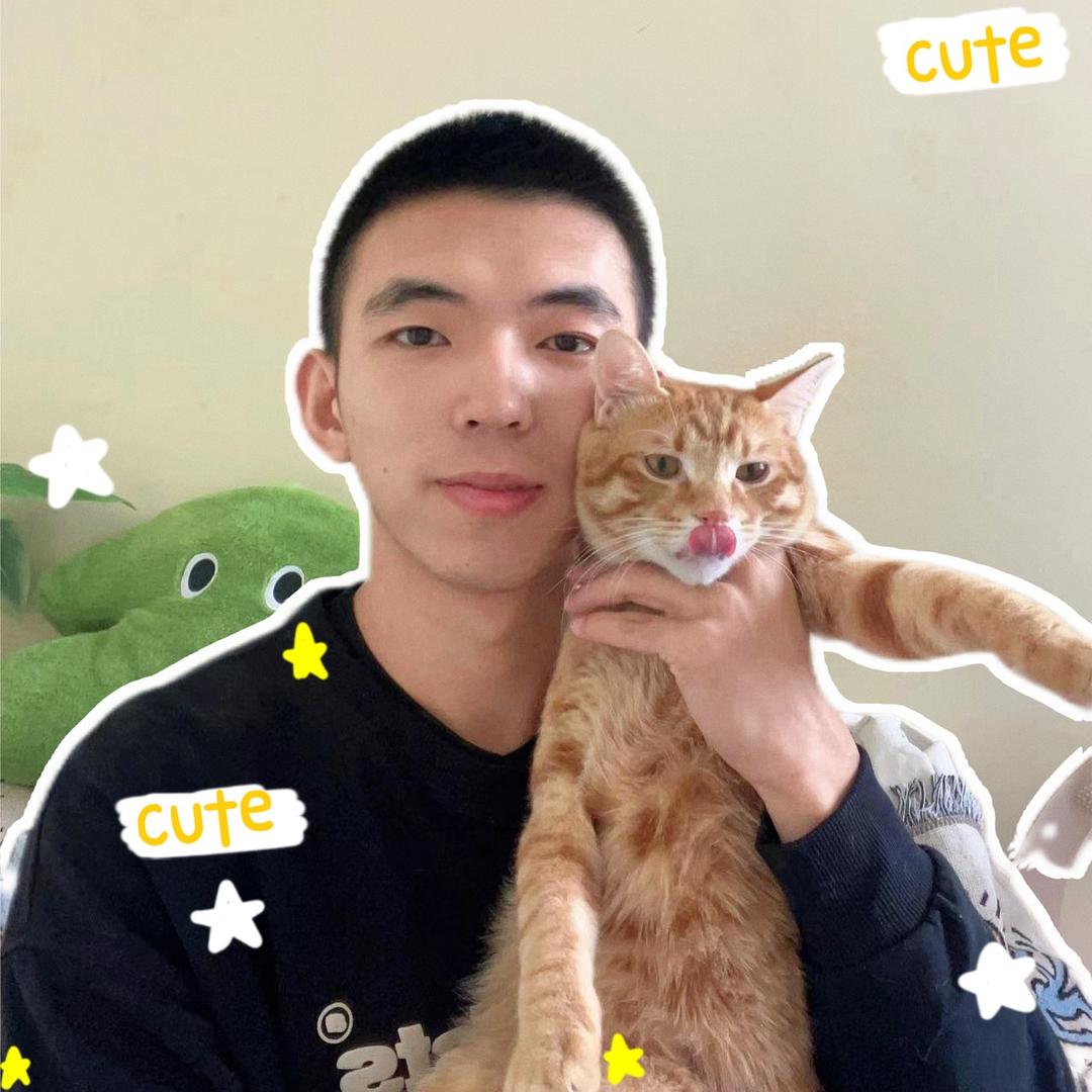 爱养猫的小石头