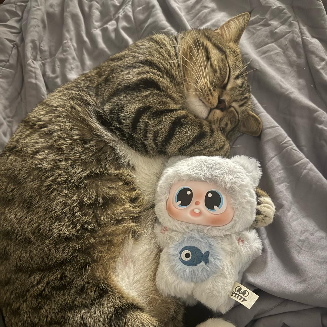 这里有一个小卢