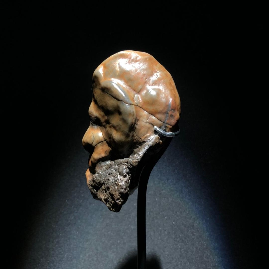 阿拉善文成赏石