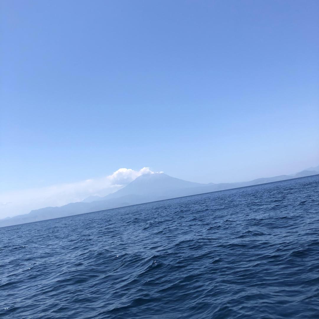 王鑫