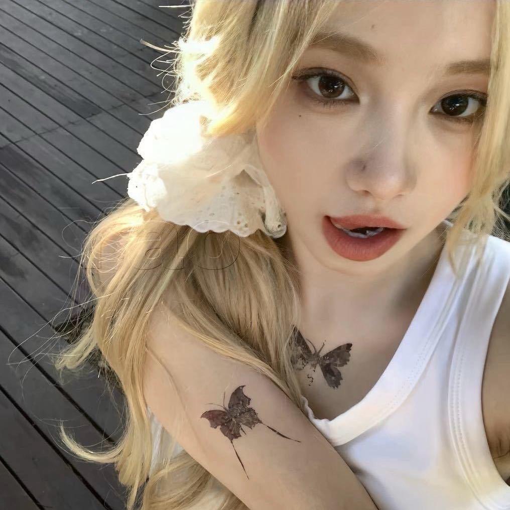 美美酱.