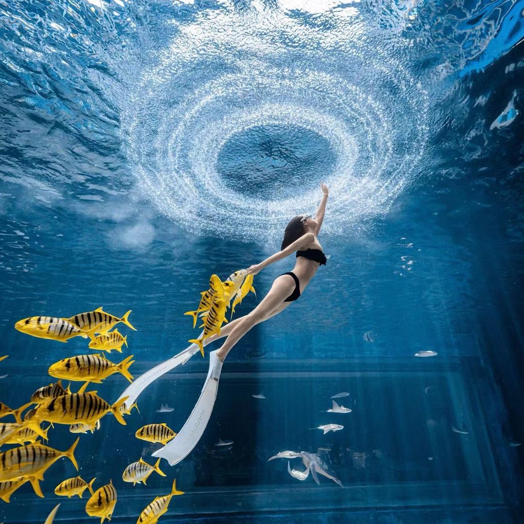 佳潜映像水下摄影俱乐部