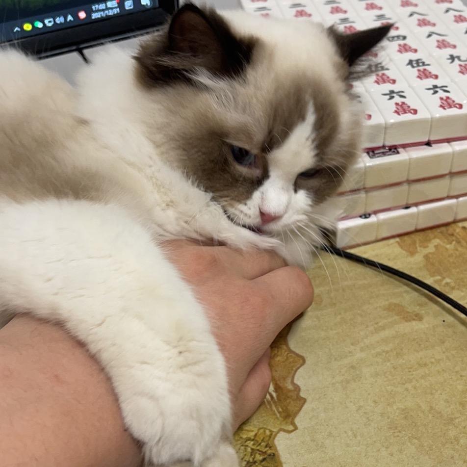 大话西游靓仔阿乐