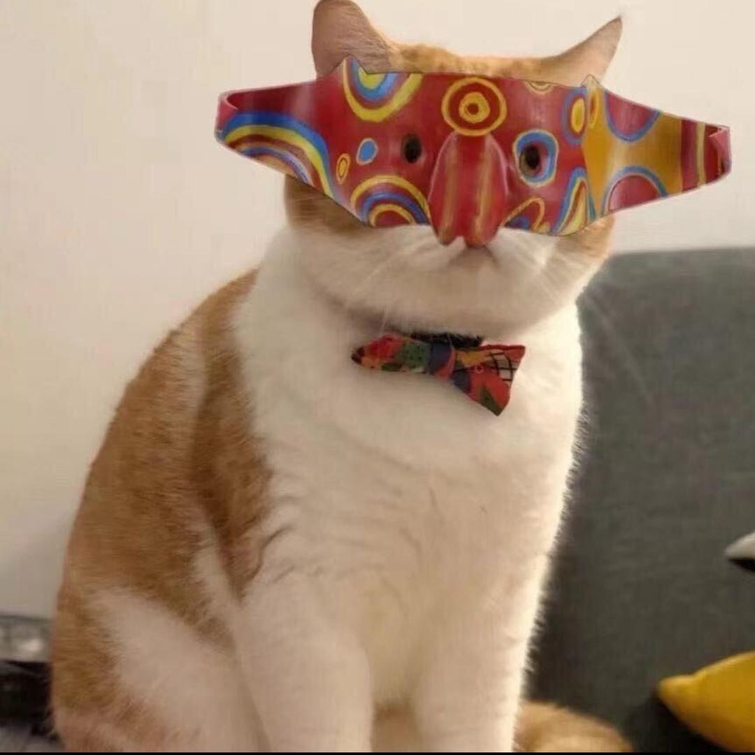 阿猫外面都是警察