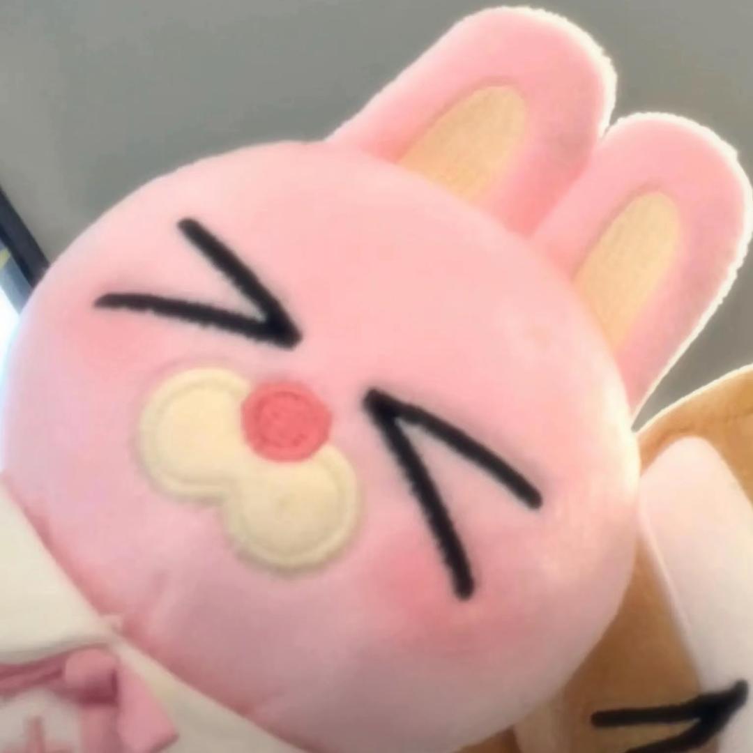 Y