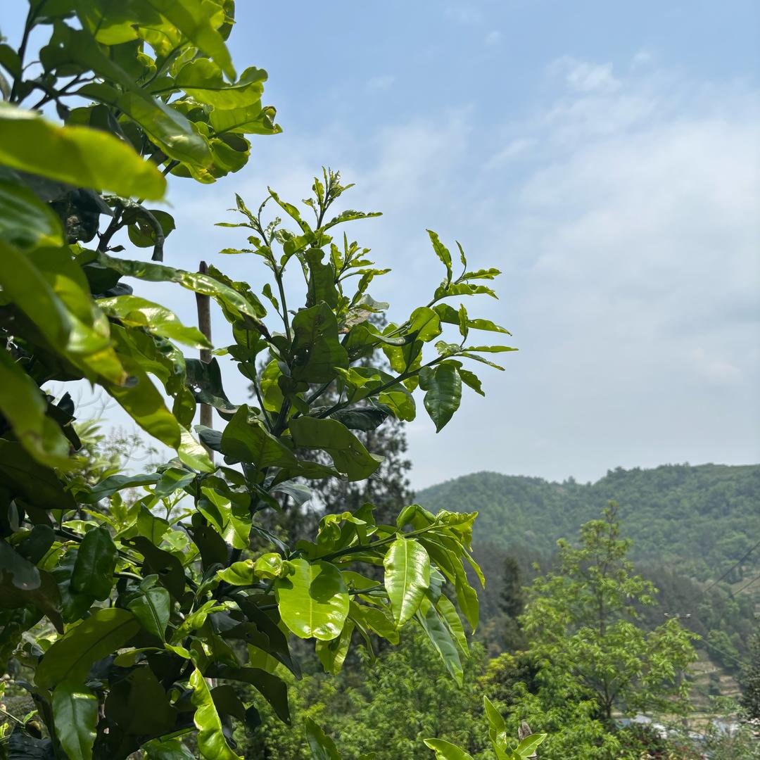 一路向北,