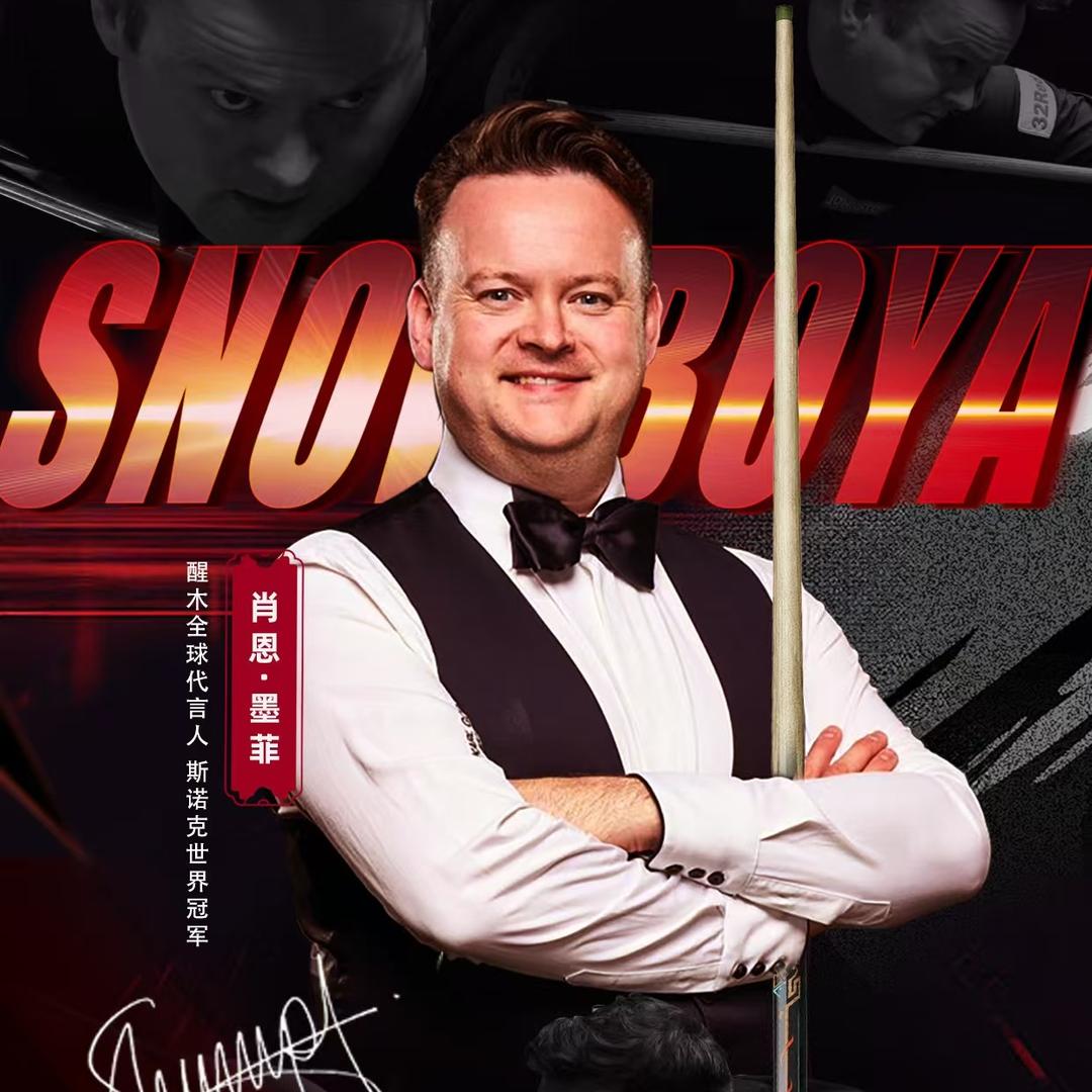 松力道企业店—金标台球器材