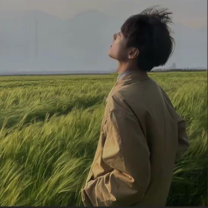 宇