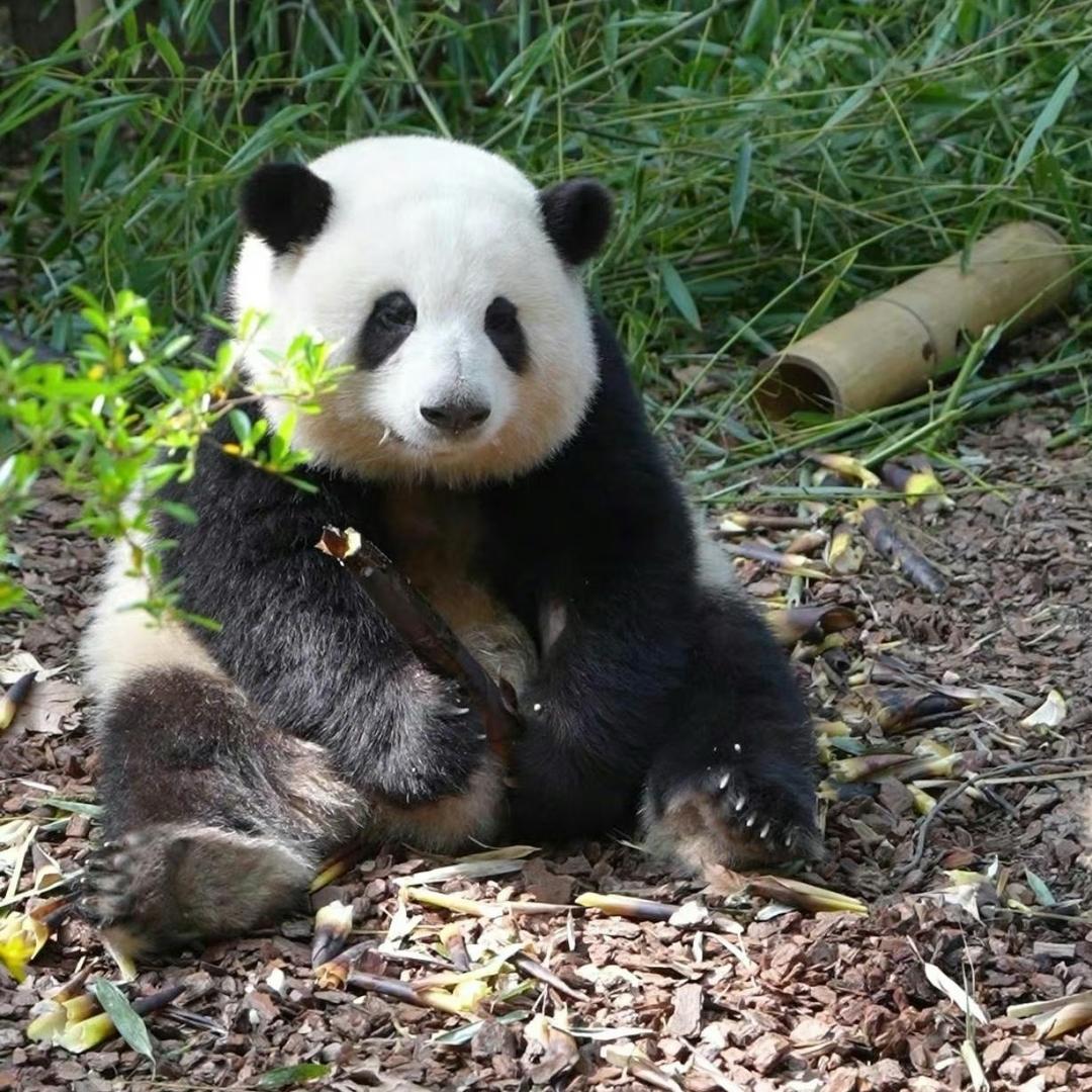 学历提升小王老师