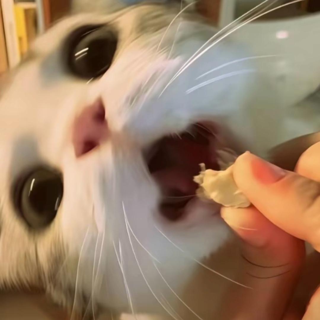 超级烦