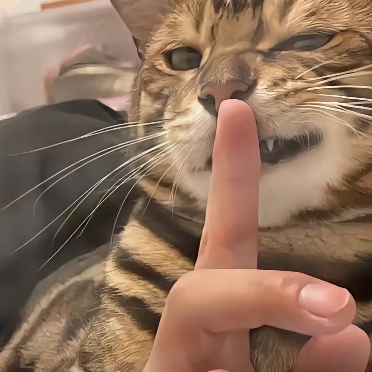 不大边.