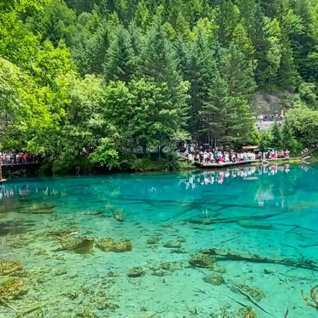风景恣意